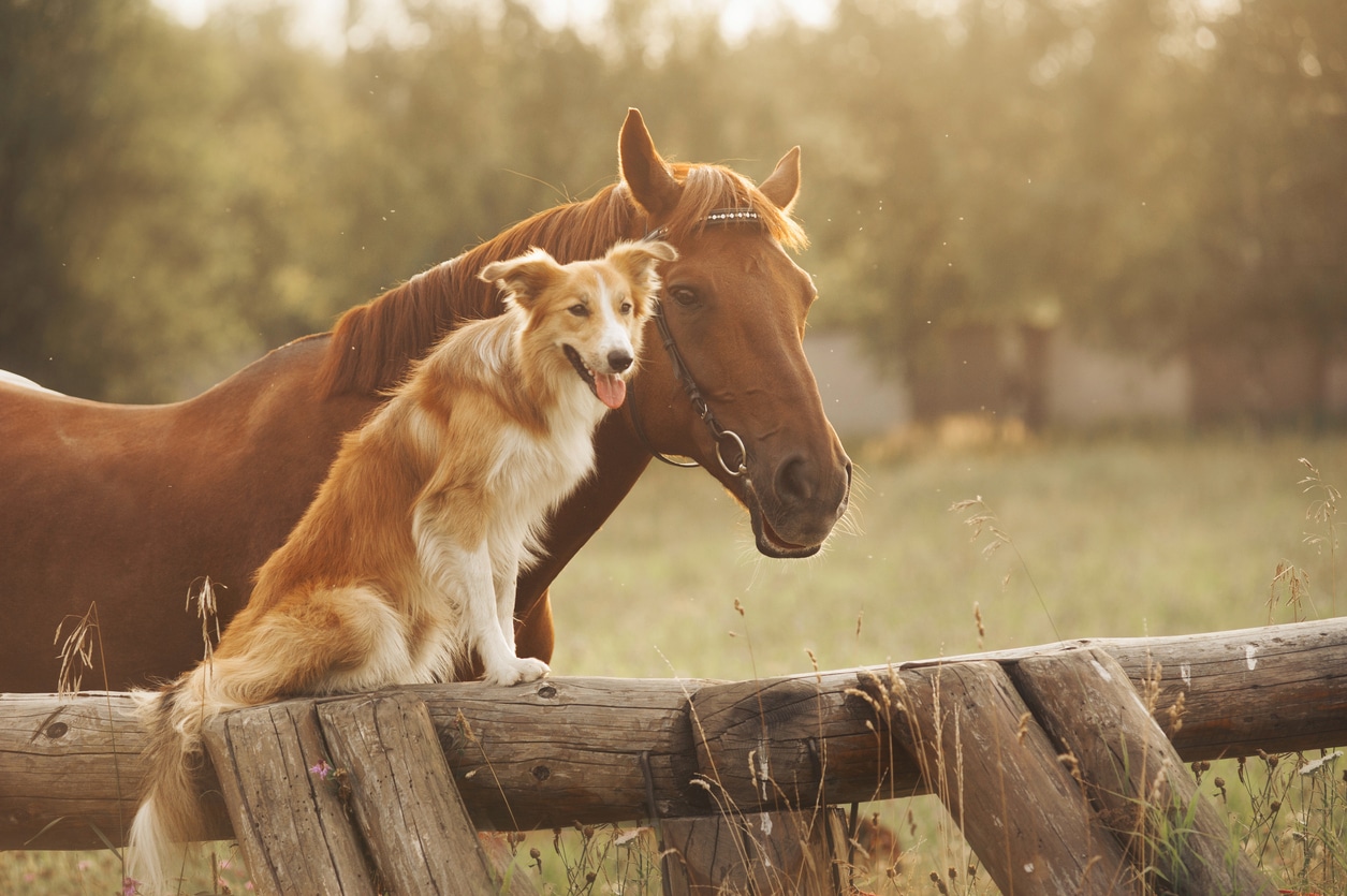 iStock 178712120