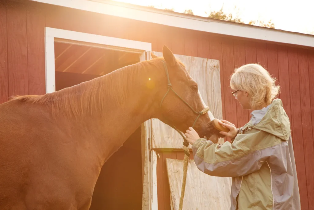 Bridging the Gap in Trauma Recovery: Healing with the Herd at Black Horse Health